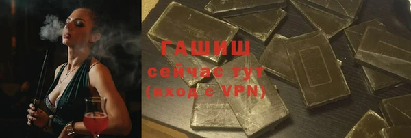 индика Белокуриха