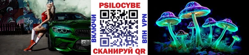 ссылка на мегу сайт  продажа наркотиков  Шали  Псилоцибиновые грибы прущие грибы 